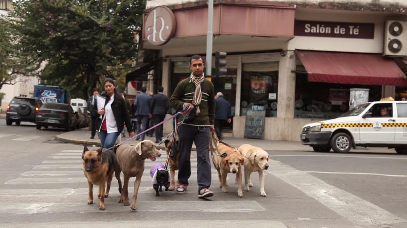 cuánto tiempo pasean los paseadores de perros